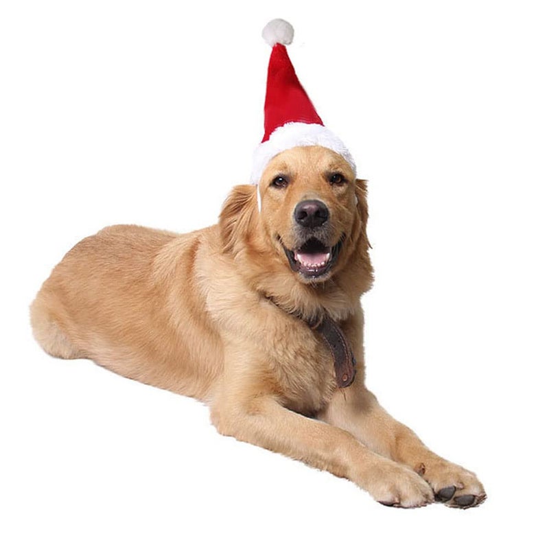 Wiz BBQT Adjustable 3D Christmas Santa Hat for Dogs Cats (Large) - Image 3